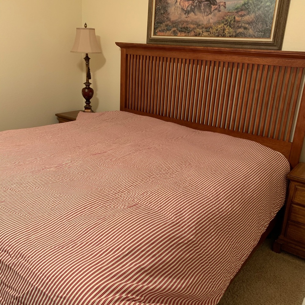 ❄️❄️ Pottery Barn King Down Comforter and Duvet